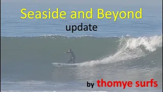 Firewire Seaside and Beyond Surfboard update post