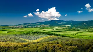 ROAD - Ahol a hegyeket látod (hivatalos) #roadmovie