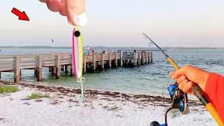 Walked Onto a Crazy Pier and Did This! *Monster Caught*