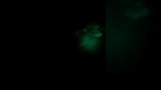 Cryptids in North Georgia. Zoom in or pause and zoom. 5/13/17 10:30 pm