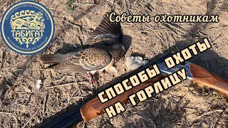 Способы охоты на горлицу!! Снято SHOTKAM GEN4 ☀️☀️☀️ сезон 2023 , ОХ Самсы