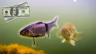 $100 Swimbait SLAMMED By BIG BASS (INSANE FOOTAGE)