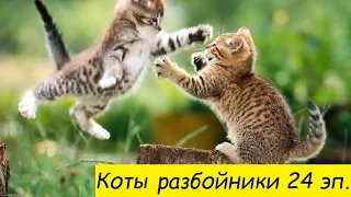 №24.  The cats playing and fighting.  Коты играют и дерутся. Лучшие приколы