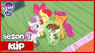 Znaczkowa Liga Pomaga Pipsqueak|My Little Pony|Sezon 5|Odcinek 18|Poszukiwacze Zaginionych Znaczków