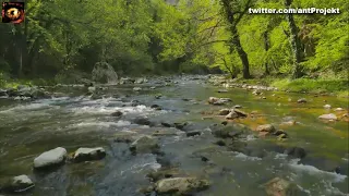 DESMONTANDO A CARLOS CASTAÑEDA Parte 2 (Listo para los audios? y saber sobre los pases mágicos?)