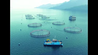 Fish Farm Installation Process Animation