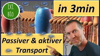 Biologie kurz und knapp - passiver und aktiver Transport in drei Minuten erklärt