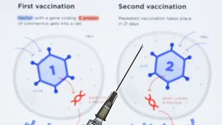 Are Vaccine Booster Shots Needed?