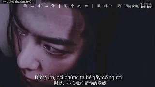 [FMV VIETSUB][ZSWW] CƯỚP HÔN