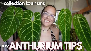 Growing Anthurium: all my tips plus collection tour | Plant with Roos