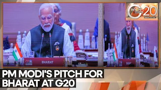 G20 Summit 2023 | PM Modi calls on leaders to reduce north-south divide | Latest News | WION