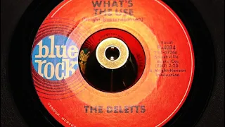 Deletts - What's The Use - Blue Rock : B-4034 (45s)