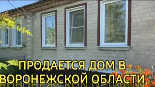 ЕДЕМ В ОСТРОГОЖСК СМОТРЕТЬ ДОМ,  БОРЕМСЯ С ТЛЁЙ /РЕАЛЬНАЯ ЖИЗНЬ ПЕНСИОНЕРОВ В РОССИИ