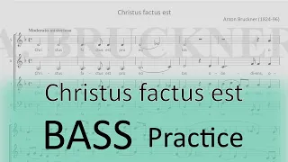 Bruckner / Christus factus est - Bass practice