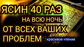 🔊 Сура "Ясин 40 раз, "на всю ночь"سورة يس Очень сложные проблемы будут решены Ин Ша Аллах