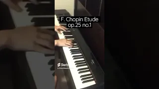 Aeolian Harp (Chopin Etude Op.25 No.1) #shortsfeed #shorts #piano #chopin