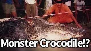 Giant Crocodile Found in Malaysia, New Record