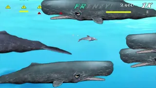 Feeding Frenzy Rapid Rush - All Battle + Survival