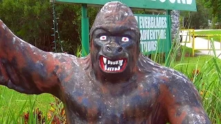 SKUNK APE HEADQUARTERS - Field Trip