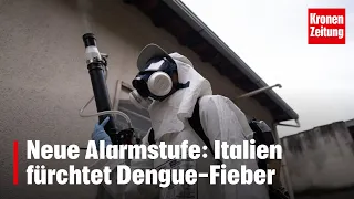 Neue Alarmstufe: Italien fürchtet Dengue-Fieber | krone.tv NEWS