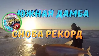 ЮЖНАЯ ДАМБА, СНОВА РЕКОРД!!!