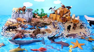 Island Diorama and Carnivore Animal Figurines - Learn Animal Names