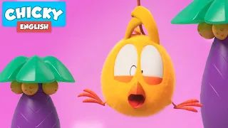 Where's Chicky? Funny Chicky 2021 | KING OF THE JUNGLE | Chicky Cartoon in English for Kids