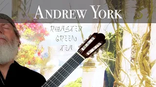 Andrew York - Roasted Green Tea