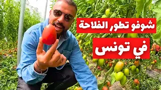 شوفوف تطور الفلاحة في تونس