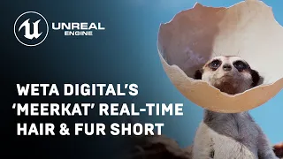 Weta Digital’s ‘Meerkat’ Real-Time Hair & Fur Short | Unreal Engine