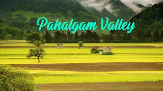 Pahalgam Valley@4K Part2