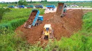 Wonderful Project! LAND Fill Starting Up Dump Truck with Dozer KOMATSU D51P Pushing soil clear
