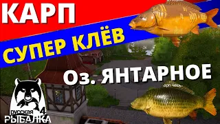 КАРП СУПЕР КЛЁВ Оз. ЯНТАРНОЕ / ФАРМ ✅ РУССКАЯ РЫБАЛКА 4 🔴 Russian Fishing 4 🔴 РР4