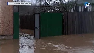 В Валдайском и Демянском районах поднялся уровень воды из-за ливня