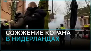 Голландская полиция не препятствовала сожжению Корана