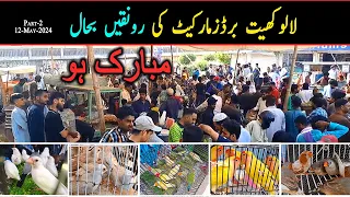 Lalukhet Sunday Birds Market 2024 Latest Update 12-April Part-2 | Lalukhet Birds Market Karachi