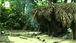 Survival International denuncia el acoso a la tribu más amenazada del planeta