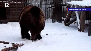 Омск: Час новостей от 3 марта 2021 года (14:00). Новости