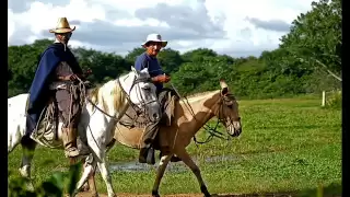 poema  el cazador novato