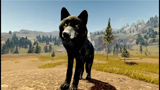 Yellowstone Unleashed Roblox Wolf Gameplay