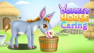 Donkey Horse Caring