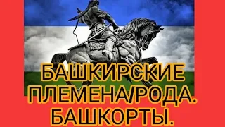 БАШКИРСКИЕ ПЛЕМЕНА / РОДА. БАШКОРТЫ. БАШКИРИЯ.