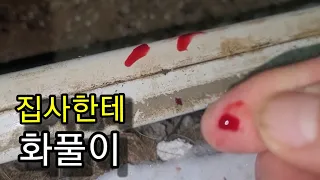 싸움을 말리는 집사를 물었다