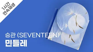승관 (SEVENTEEN) - 민들레 1시간 연속 재생 / 가사 / Lyrics