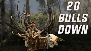 Best Of "Archery Elk Hunting" (Compilation) | Elk Week 2023