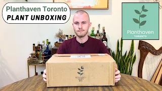 Rare Houseplant Unboxing | Planthaven Toronto