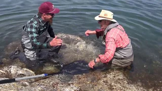 Giant Trout Lago Strobel Estancia Laguna Verde