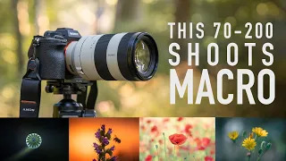 The Sony 70-200 f/4 Macro for Nature and Landscape Photography!