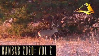 KANSAS Public Land Hunting 2020 (Vol. 2 of 3): Hornography Series: Big Buck at 15 yards!