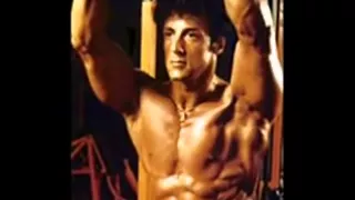 sylvester stallone  treinos e estilo